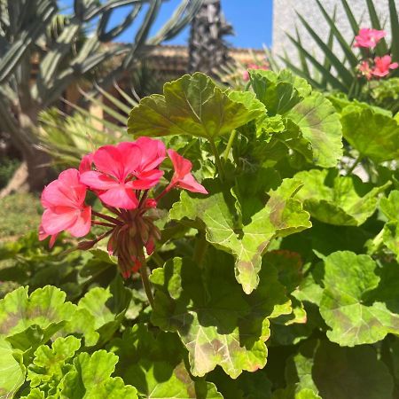 Nespolilla Villa Petrosino Dış mekan fotoğraf