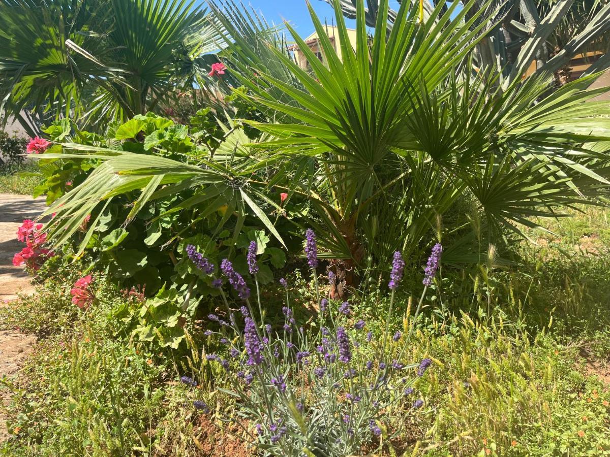 Nespolilla Villa Petrosino Dış mekan fotoğraf